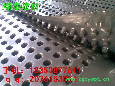 朔州楼顶绿化疏水板—山西临汾屋顶种植排水板--HDPE葛根板