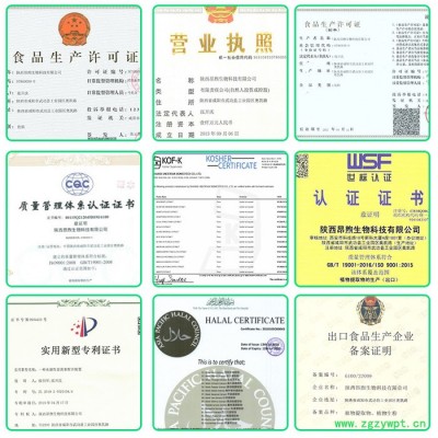 苦参碱98% 氧化苦参碱供应商 苦参碱提取物 陕西昂煦生产苦参提取物现货批发