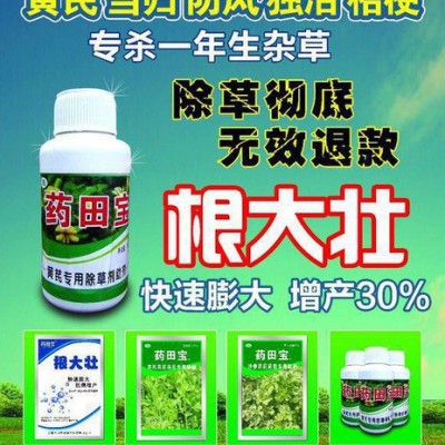 供应苦参种子  中草药类  药材种子 药材种子、种苗 内蒙苦参种子 种籽