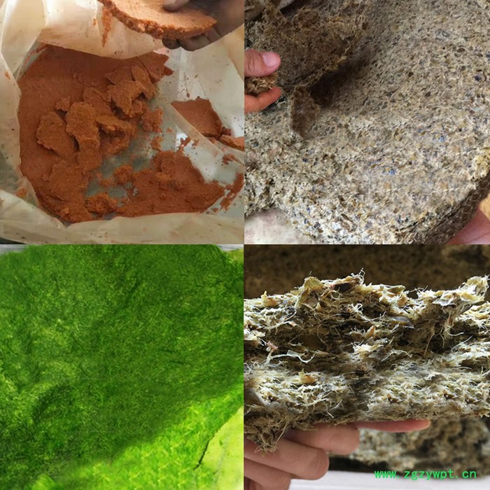 苦参大黄提取药液压榨机 复合胶原蛋白过滤设备  中药汁不锈钢商用液压压榨机