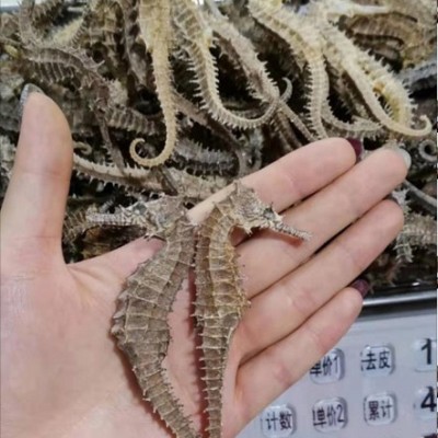 小海马一对2克公母配对泡酒料中药材合搭三斑煲汤大龙马煲吉林产地原产地批发包装特产东北海参枸杞蛤蚧批发袋装款汤药材泡酒材料