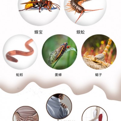 火动力美容院养生身体套盒五毒套-蜈蚣精粹套盒oem工厂贴牌