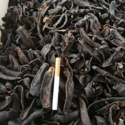 水蛭蚂蝗 清水吊干