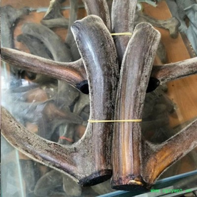 整枝干鹿茸长白山鹿乡产地批发包装礼盒送礼滋补产品新鲜整只吉林鹿尾干成年壮鹿搭配鹿茸鹿鞭人参泡酒双阳鹿鞭膏男用男性滋补片支