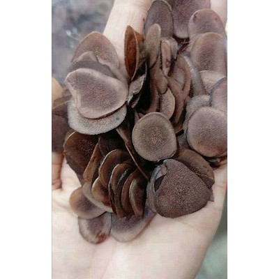 鹿茸血片（小片）马鹿整枝鹿茸段新鲜鹿茸腊片血片泡酒料药材红粉血白粉泡水泡酒吉林双阳鹿乡镇送礼药材头茬二杠角产自梅花之鹿乡