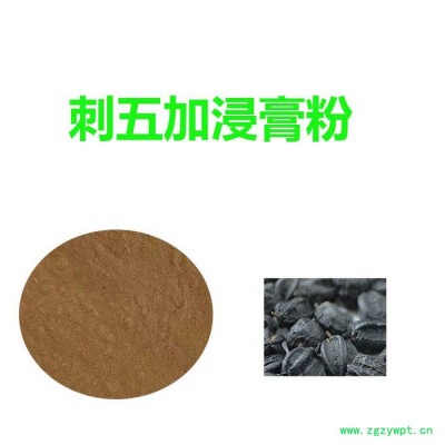 甘肃斯诺特 刺五加粉  量大从优      刺五加浸膏粉