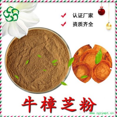 刺五加提取物 刺五加浓缩粉  水溶 99%  可定制