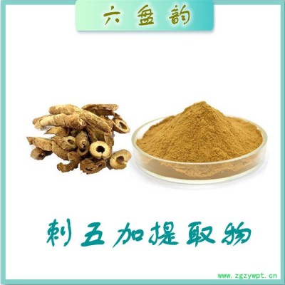 刺五加浓缩粉 水溶 可定制 刺五加提取物厂家