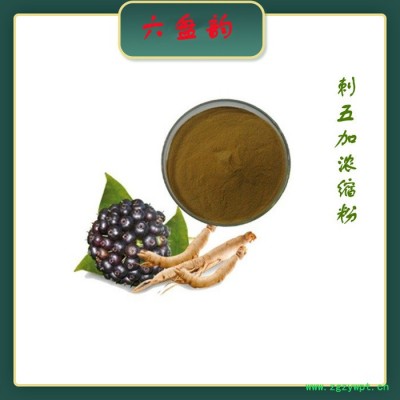 刺五加浓缩粉 刺五加多糖 刺五加粉 六盘韵生物 可定制生产
