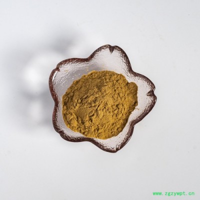 金萃坊厂家现货供应  刺五加提取物10:1 刺五加粉