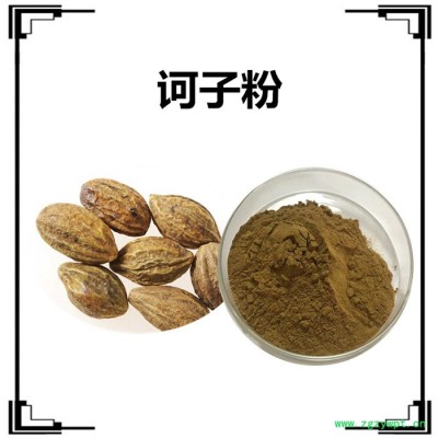 斯诺特生产 骨碎补粉  全水溶 骨碎补浓缩粉  骨碎补速溶粉