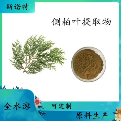 骨碎补提取物 骨碎补浸膏粉  水溶  99% 可定制