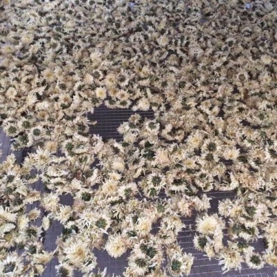 供应广东阳春沙姜空气能热泵烘干机_厂家新推出小型沙姜空气能热泵烘干设备 空气能烘干机