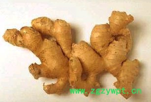 香辛料药材山柰沙姜 佐料配菜去腥 驱寒 中药性喜温暖 湿润气候