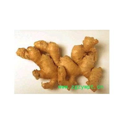 香辛料药材山柰沙姜 佐料配菜去腥 驱寒 中药性喜温暖 湿润气候