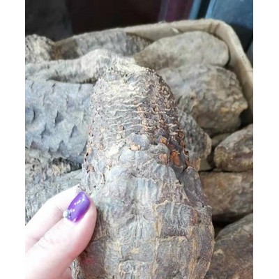 肉苁蓉500克产地沙漠人参整根500g从容送锁阳泡酒煲汤中药材泡酒中药材料泡茶水吉林长白山批发包装鹿乡双阳泡酒泡茶水男性