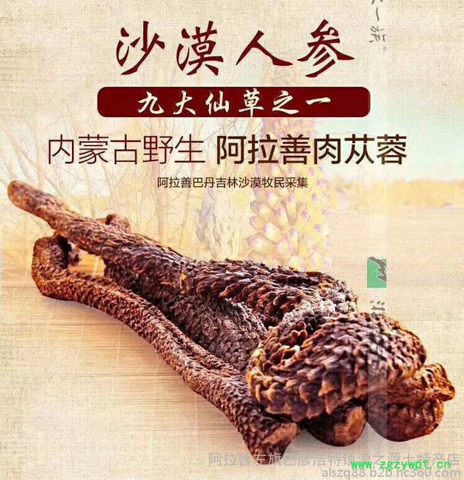 阿拉善肉苁蓉 油苁蓉 价格 肉苁蓉价格 肉苁蓉功效和作用