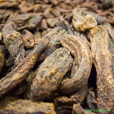 肉苁蓉烘干机 全封闭式中药材烘干设备厂家 科能KN-290RD