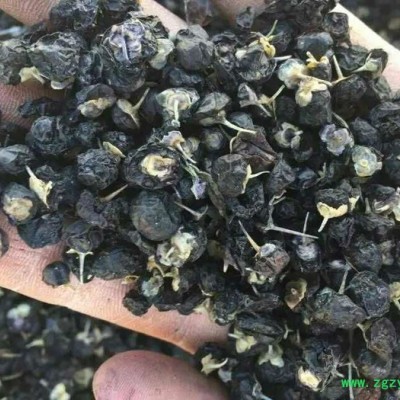 绿品国度冬虫夏草黑枸杞新鲜水果土特产