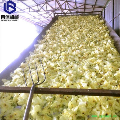 百信机械多层带石斛烘干机  连续式石斛烘干设备  大型带式石斛脱水设备