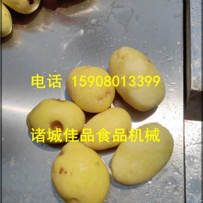 冬虫夏草气泡清洗机 中草药甘草清洗机 直销**价廉性价比高