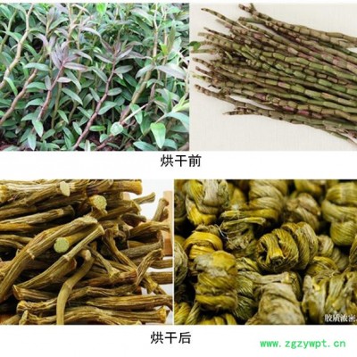 智能 高效石斛烘干机