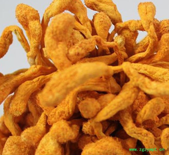 金正邦牌大孢子头金虫草花特级**批发北冬虫夏草蛹子实体 250g