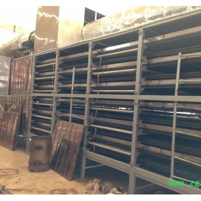 五味子烘干炉设备、德瑞链条链轮(图)、铁皮石斛烘干炉设备