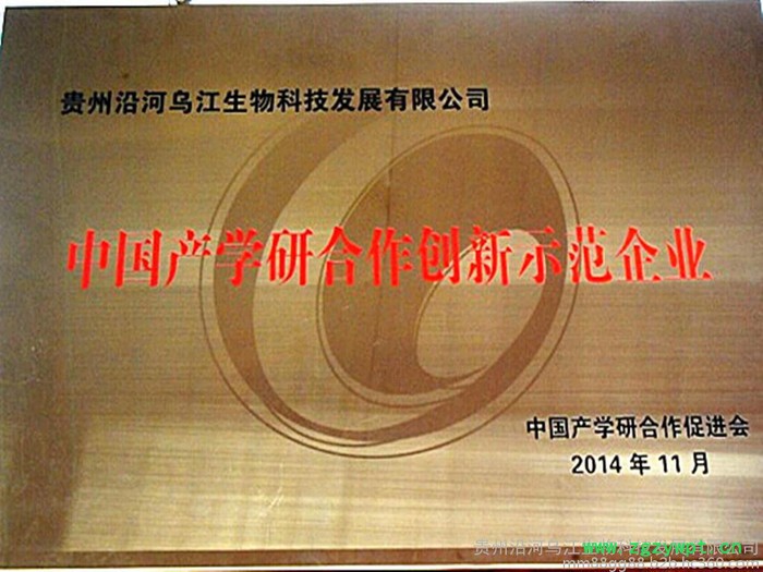 铁皮石斛鲜条（寒涧）铁皮石斛