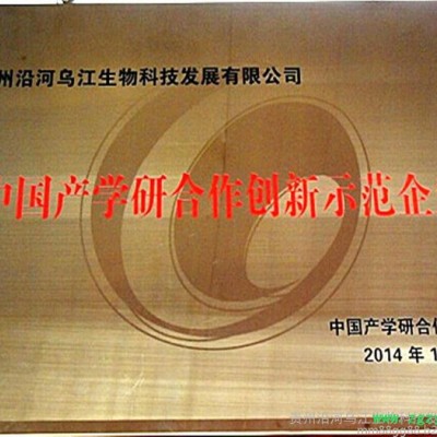 铁皮石斛鲜条（寒涧）铁皮石斛