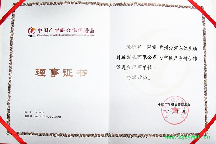 寒涧铁皮石斛枫斗