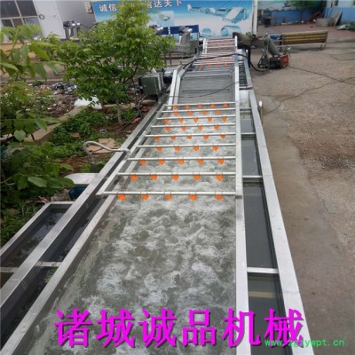 诚品 天麻毛辊清洗机 桔梗毛辊清洗机 圆葱去皮清洗机 地瓜去泥去皮清洗机 土茯苓去皮去泥清洗机 ** 价格优惠