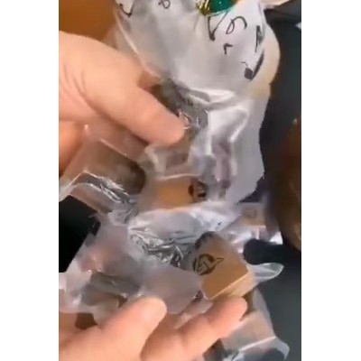 白桦茸菌丝桶250克/桶一桶18棵-20棵包装礼盒新鲜食用菌菇巴西蘑菇小赤松茸煲汤特产包装礼盒送礼滋补产品吉林原产地整只