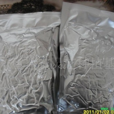 产地直销**破壁灵芝孢子粉