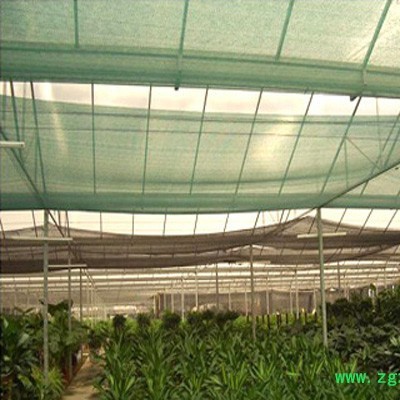 灵芝遮阳网_花菜遮阳网限时供应【金耀捷】