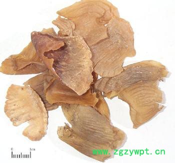 供应鸡内金提取物