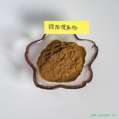 金萃坊 锁阳提取物10:1  锁阳粉 锁阳萃取 水溶锁阳粉 量大从优 锁阳提取物