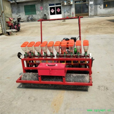 蔬菜药材播种机 萝卜药材牧草精播机 手推式汽油紫苏下种机型号