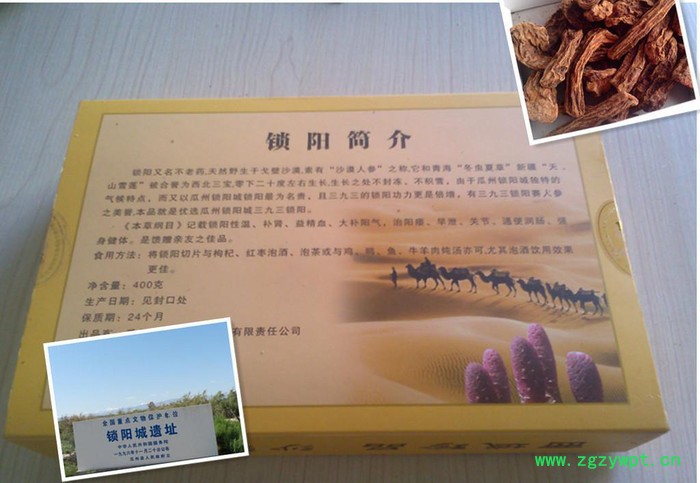甘肃瓜州特产 三九锁阳 西北**天然滋补 壮阳补肾