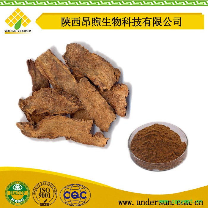 锁阳粉生产厂家 锁阳纯粉 现货批发   锁阳提取物