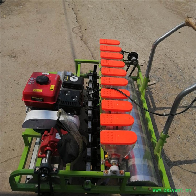 广盛  汽油自走蔬菜药材播种机 人力手推草种子青菜播种机 电动药材播种机 广盛  汽油自走蔬菜药材播种机 人力手推草种子青菜播种机 电动药材播种机