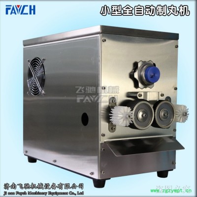 飞驰小型全自动中药制丸机 小型制丸机 中药制丸机 制丸机厂家