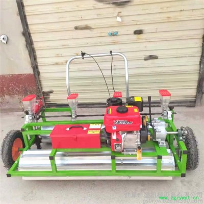 手推式小粒蔬菜播种机 汽油蔬菜药材播种机 小型药材大葱油麦菜播种机