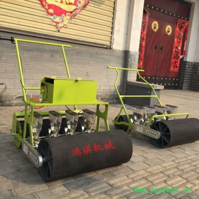 大型花卉药材点播机 汽油式谷子精播机 手推式小颗粒播种机 鸿祺机械