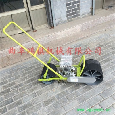 药材草种子播种机 鸿祺蔬菜精播机B 油菜播种机