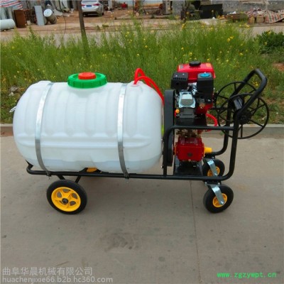 手推式养殖场消毒机 华晨汽油拉管式打药机 HC-DYJ药材基地打药机