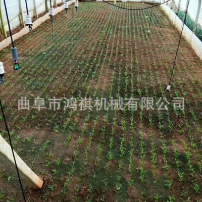 鸿祺 香菜韭菜大葱播种机 小粒药材用播种机