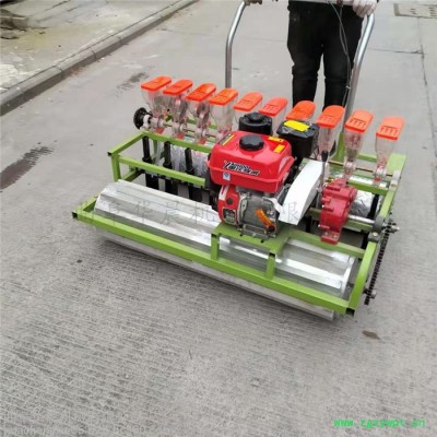 播种黄芩药材的播种机 中药材播种施肥机 华晨机械