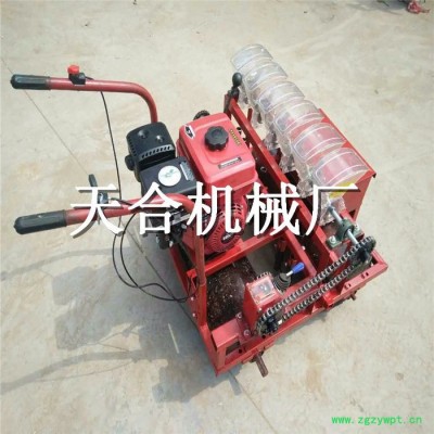 香菜大葱手推小型播种机 中药材播种机 柴油链轨式播种机 方便快捷小型播种机