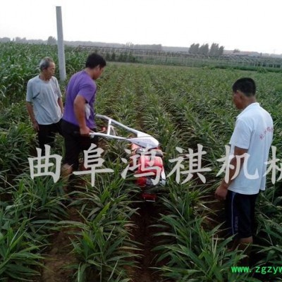 烟草/药材种植开沟机大葱种植用开沟培土机电打火开沟机